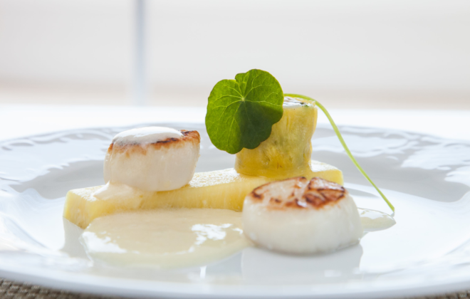 which cruise line has the best food